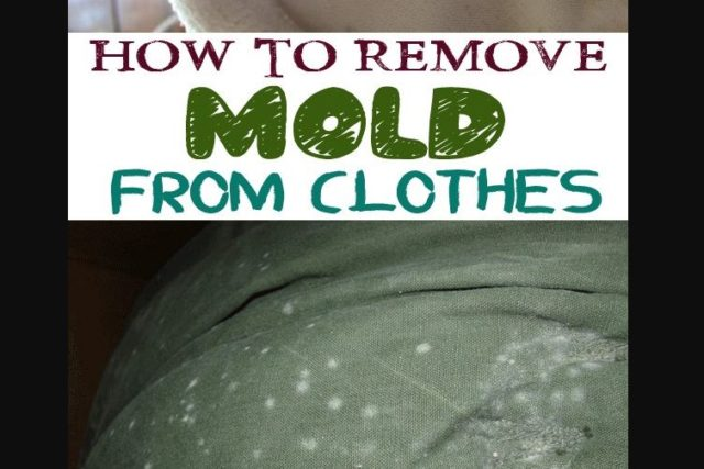 how to remove mold from your clothes