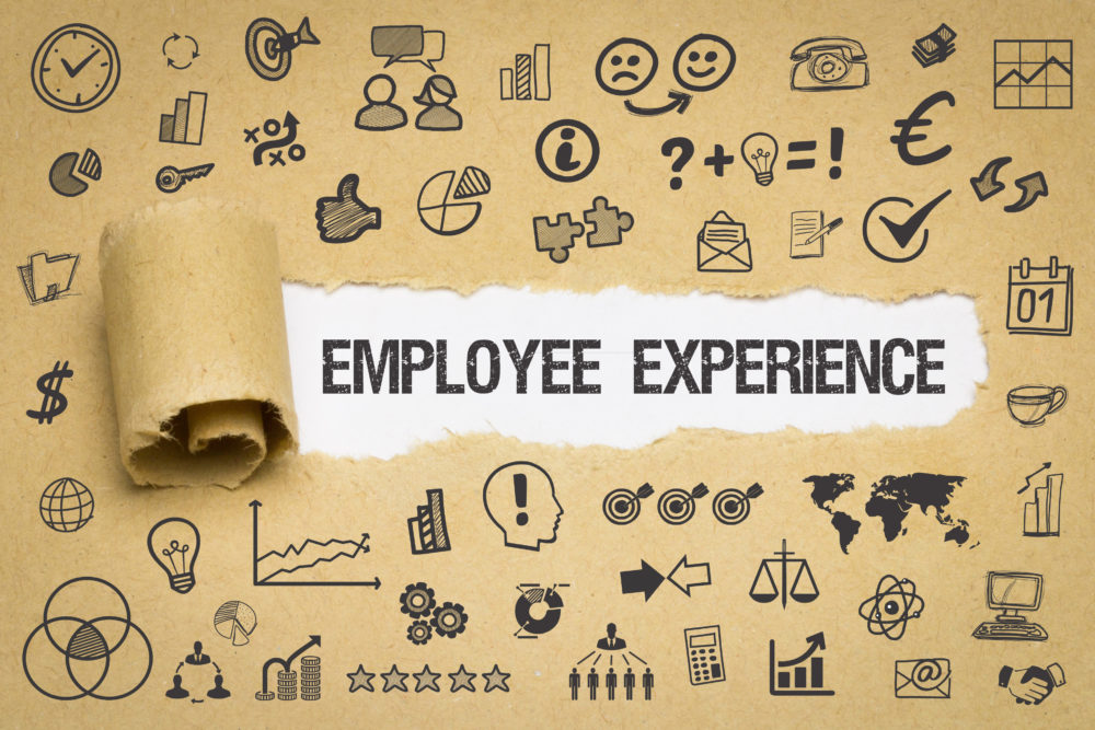 employee experience in the top 10 best companies to work for in the us