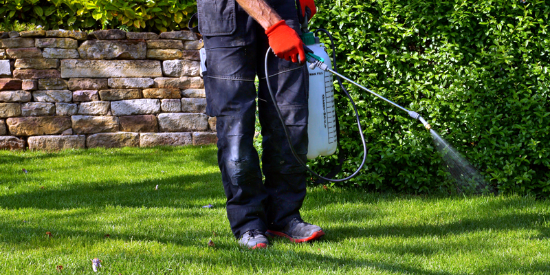 Lawn Care and Landscaping best practices