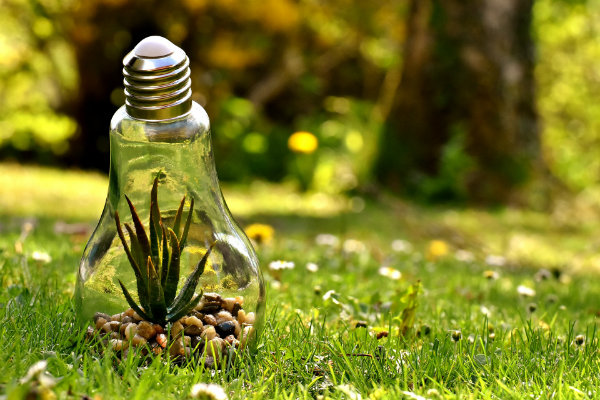 Gardening tips to save energy