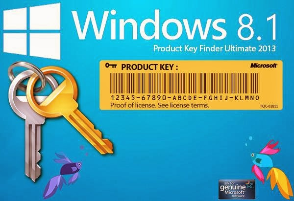 how to find Windows 8.1 Product Key