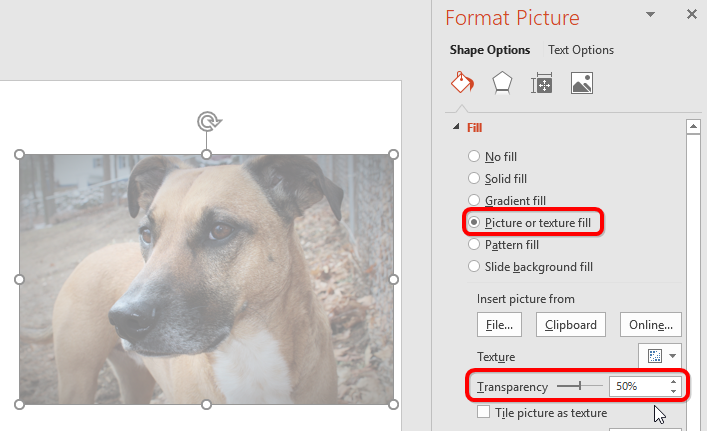 How to Make an Image Background Transparent in MS PowerPoint